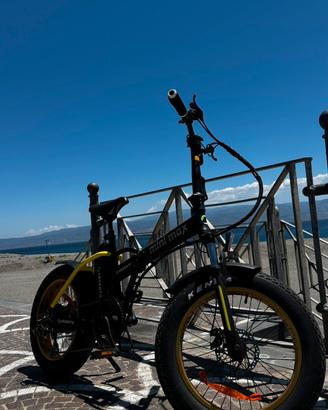 Bici elettrica 250w