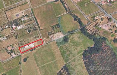 TER. AGRICOLO A FRASCATI