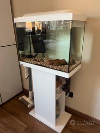 acquario con supporto completo