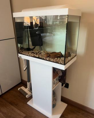 acquario con supporto completo