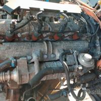 Testata Iveco Daily 3,0 2007 F1CE0481H