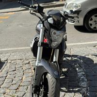 Benelli BN 302.