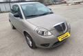Lancia Ypsilon 2011---1.2 Benzina Neopatentati