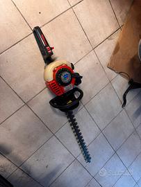 Tagliasiepi bluebird