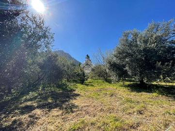 TER. AGRICOLO A ALTOFONTE