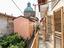 Immagine 12
