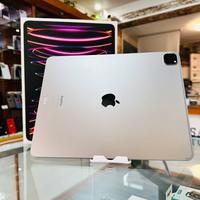 IPad pro 12.9 6 Gene 256GB WIFI+Cell M2