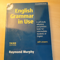 English grammar in use