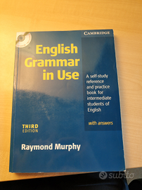 English grammar in use