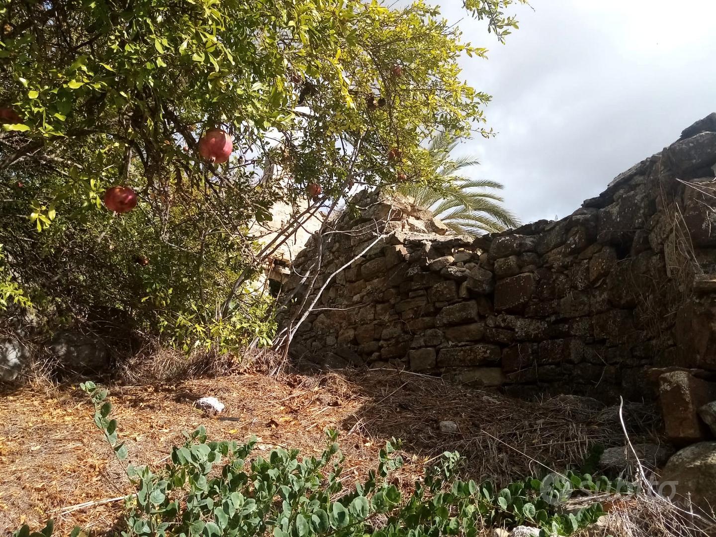 Terreno con rudere a Suelli - Vista 5