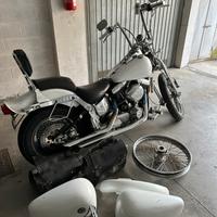 Harley Davidson Springer