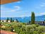 Immagine 12