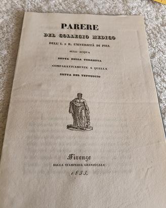 parere del collegio medico di Pisa 