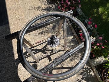 Deda elementi carbonio