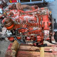 Motore iveco 115.17 135.17 145.17 8060.25