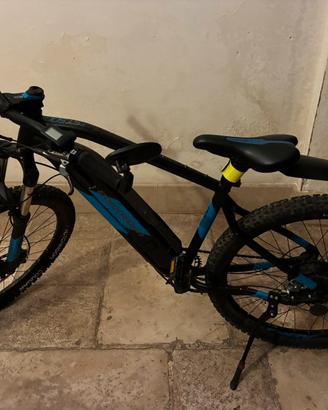 Bici elettrica