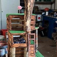 Tira graffi giochi e cuccia per gatti