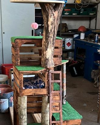 Tira graffi giochi e cuccia per gatti