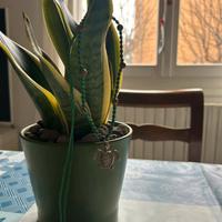 Collana fatta a mano in Macramé