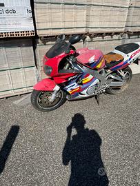 Cbr 900 radiata