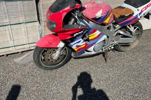 Cbr 900 radiata
