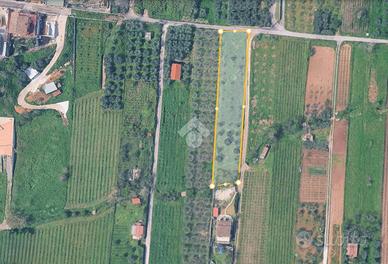 TER. AGRICOLO A ROMA