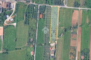 TER. AGRICOLO A ROMA