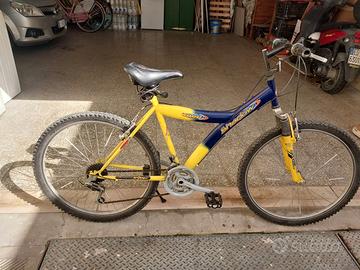 Bicicletta mtb 26