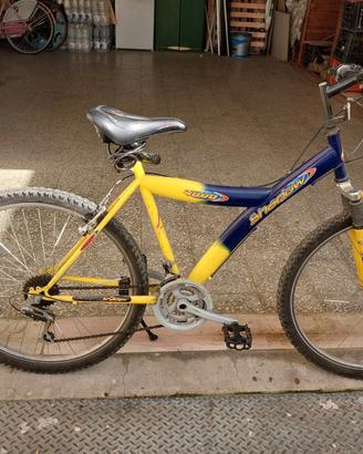 Bicicletta mtb 26