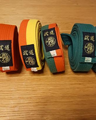 Cinture Karate