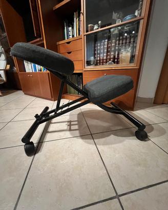 Sedia Ergonomica EIFRED