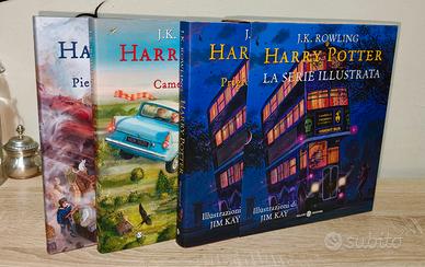 Harry Potter Jim Kay 
