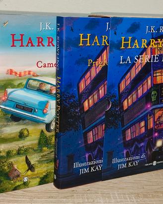 Harry Potter Jim Kay 
