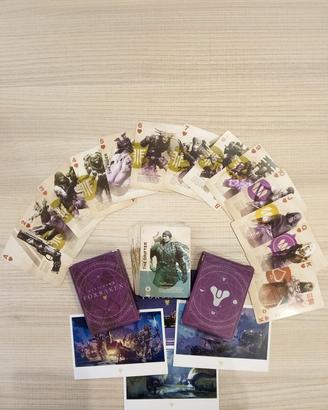 Set completo carte di Destiny 2 con Illustrazioni