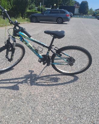 bici prezzo tratabile 