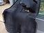 Immagine 21