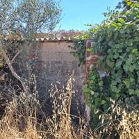 Terreno - Ragusa