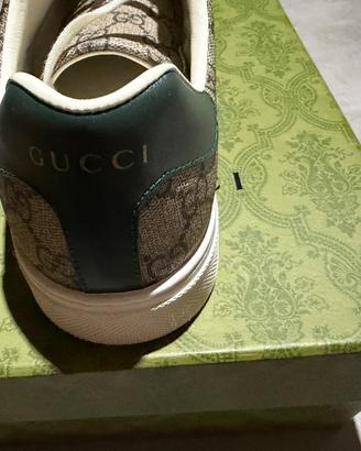 Gucci ace