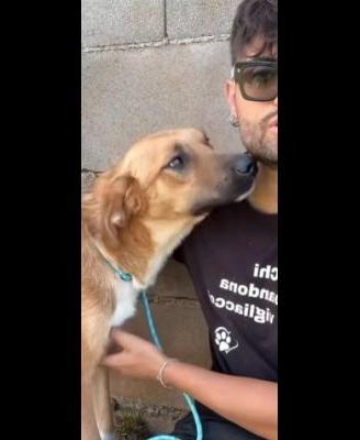 Cucciolo in adozione