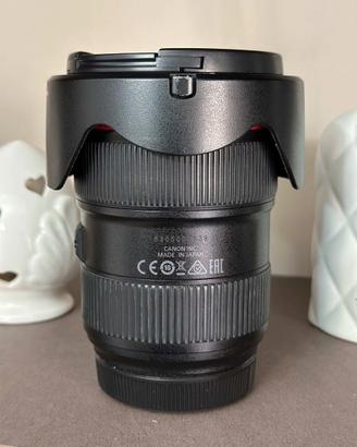 Ottica Canon EF 24 70 F 2.8 L II