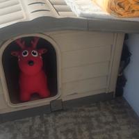 cassetta per il cane 