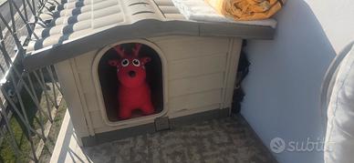 cassetta per il cane 