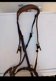 Testiera Bitless Bridle originale Dr Cook