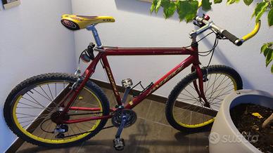 Mountain Bike Bandiziol