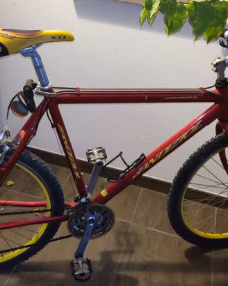Mountain Bike Bandiziol
