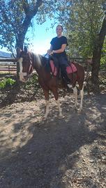 Bellosiko e biono Puledro di annin5