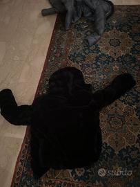 Giacca di pelliccia sintetica dunlefacw