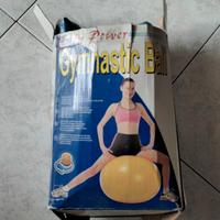 Ginnastica Ball 
