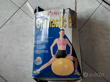 Ginnastica Ball 