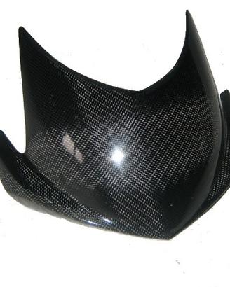 MATERIALE IN CARBONIO PER TRIUMPH SPEED TRIPLE